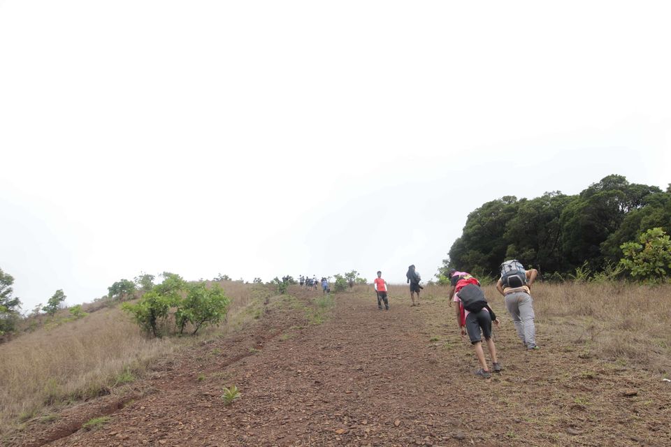 Photo of To The Jasmine of the Hills: My Monsoon Trek to Kodachadri & Kavaledurga Fort by Hrishikesh Baruah
