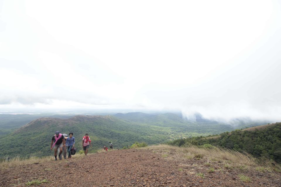 Photo of To The Jasmine of the Hills: My Monsoon Trek to Kodachadri & Kavaledurga Fort by Hrishikesh Baruah