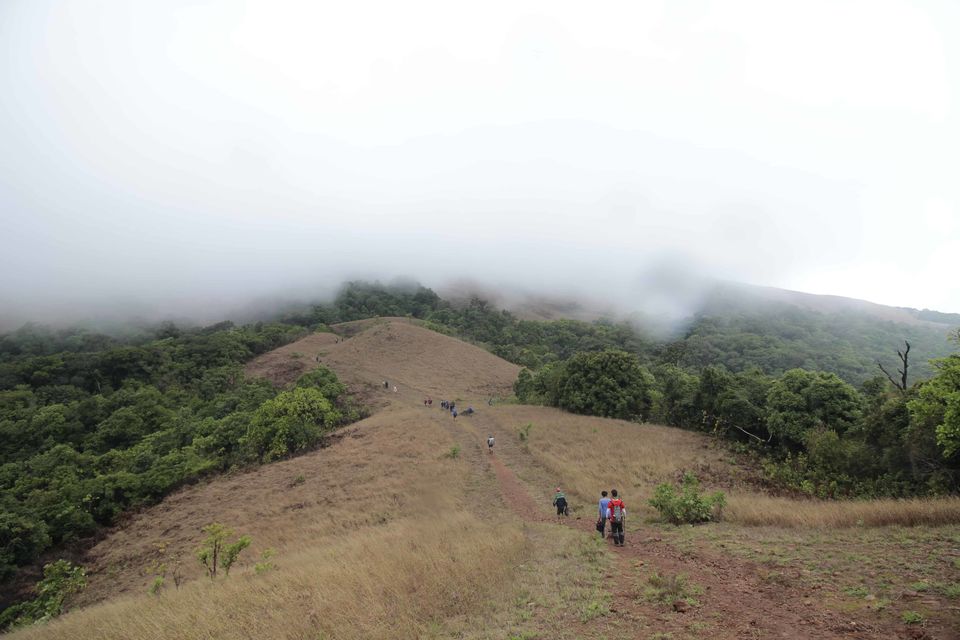Photo of To The Jasmine of the Hills: My Monsoon Trek to Kodachadri & Kavaledurga Fort by Hrishikesh Baruah
