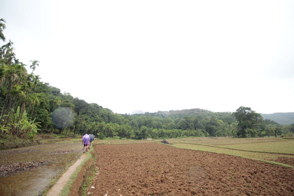 Photo of To The Jasmine of the Hills: My Monsoon Trek to Kodachadri & Kavaledurga Fort by Hrishikesh Baruah
