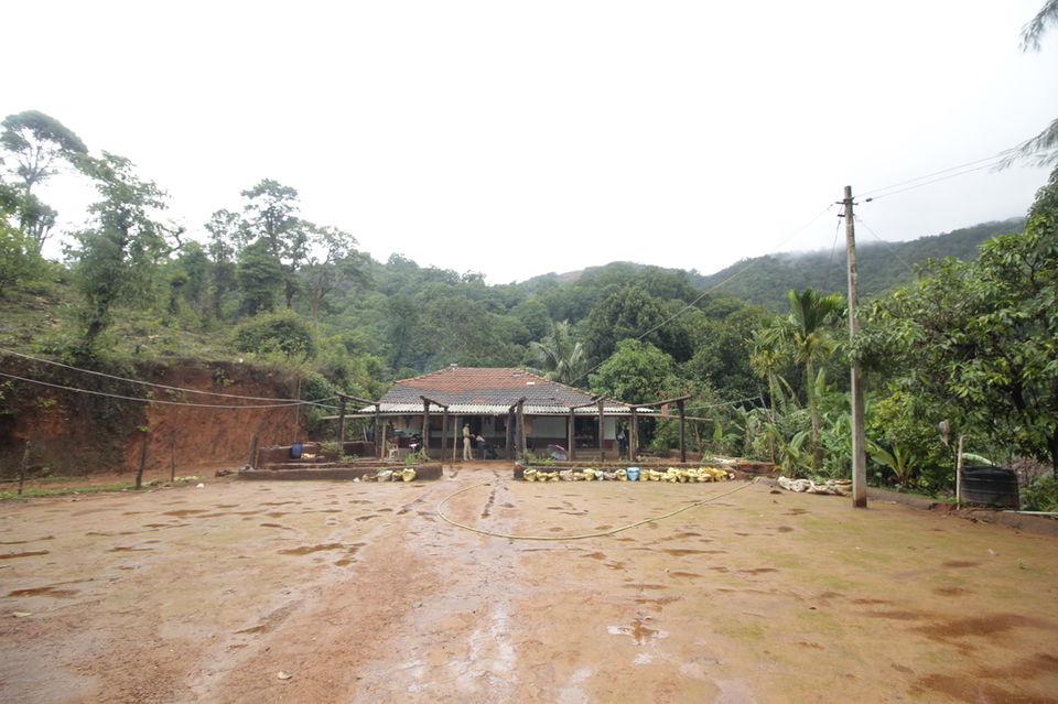 Photo of To The Jasmine of the Hills: My Monsoon Trek to Kodachadri & Kavaledurga Fort by Hrishikesh Baruah