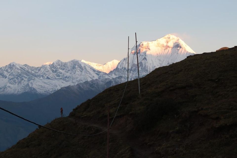 Photo of Trekking in the Annapurna Region (Part 2): Khopra Danda (Ridge) 31/70 by Hrishikesh Baruah