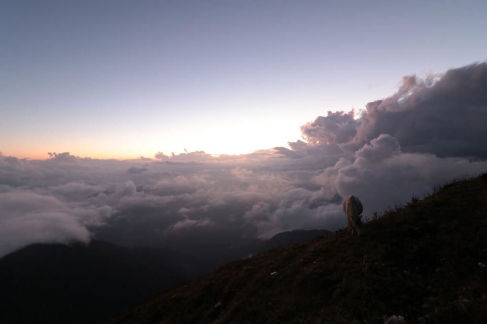 Photo of Trekking in the Annapurna Region (Part 2): Khopra Danda (Ridge) 57/70 by Hrishikesh Baruah