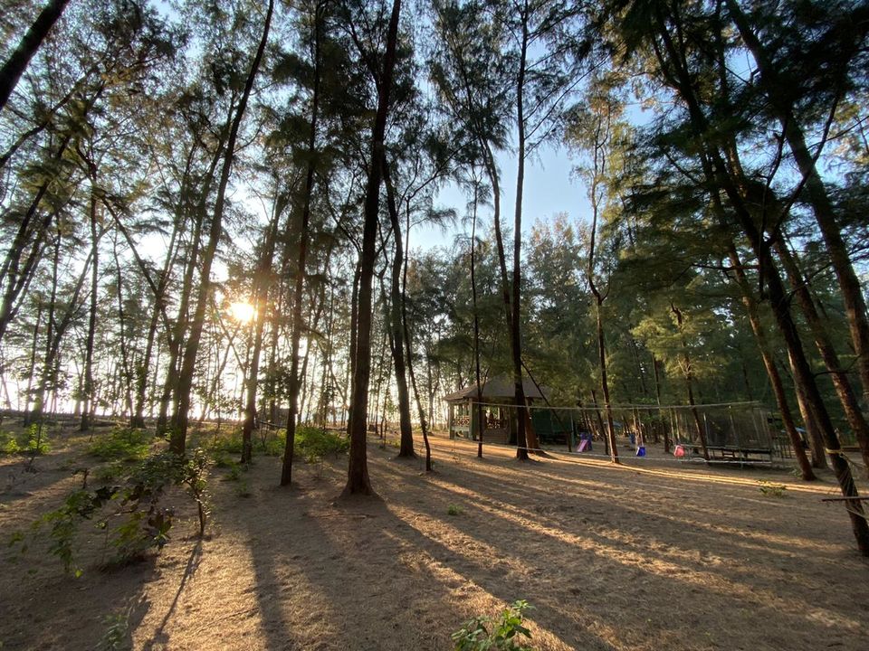 Photo of Devbagh Beach, Karwar, Karnataka, India by Hrishikesh Baruah