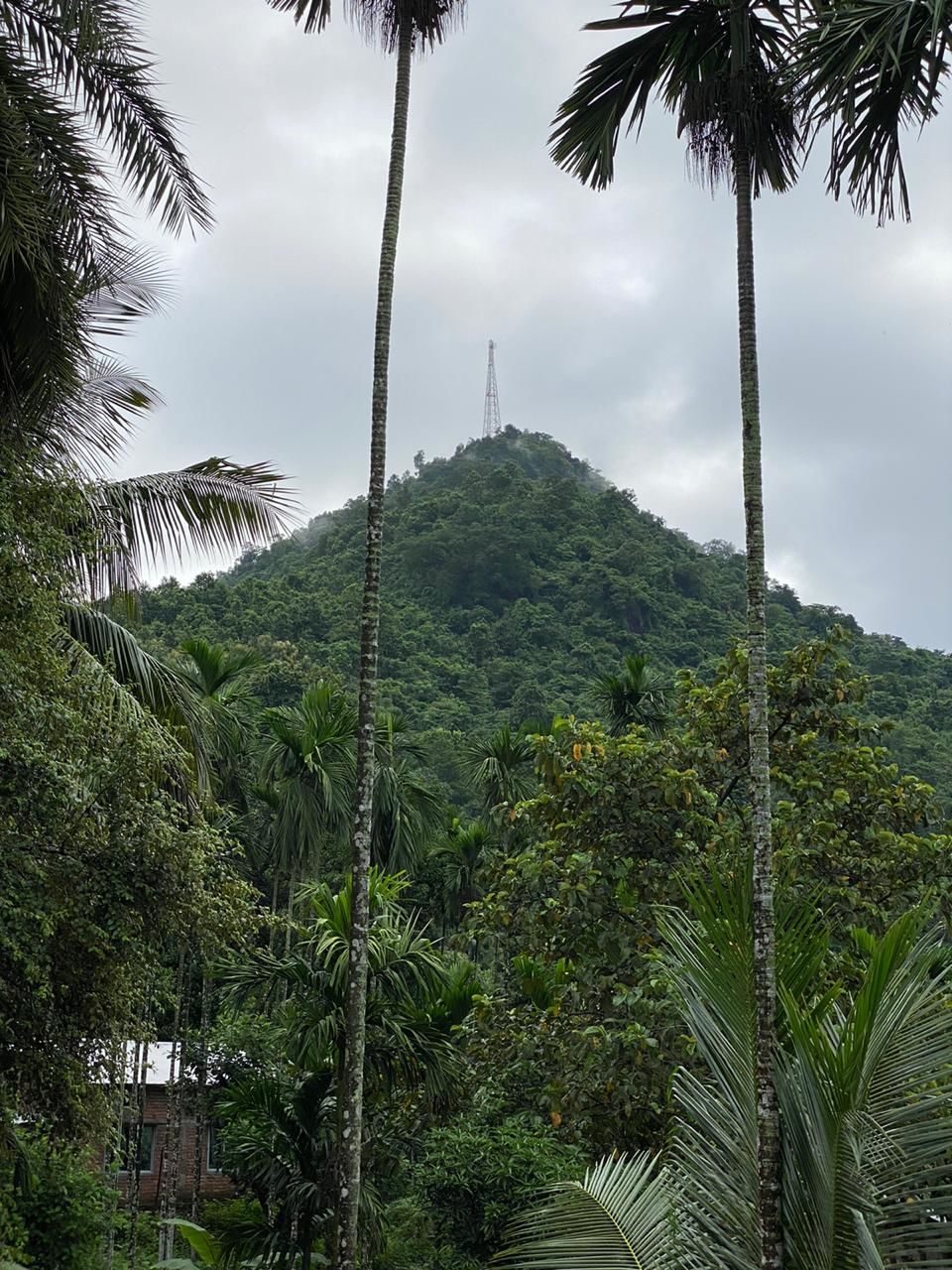 Photo of Hike to Wireless Pahar, Guwahati 5/5 by Hrishikesh Baruah