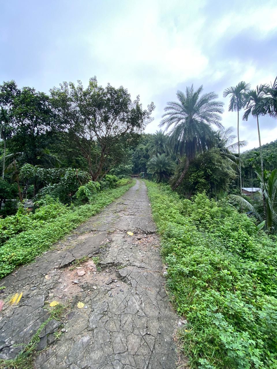 Photo of Hike to Wireless Pahar, Guwahati 2/5 by Hrishikesh Baruah
