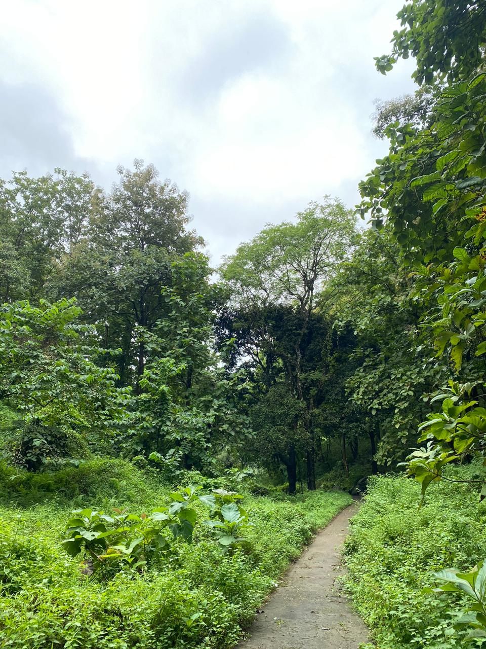 Photo of Hike to Wireless Pahar, Guwahati by Hrishikesh Baruah