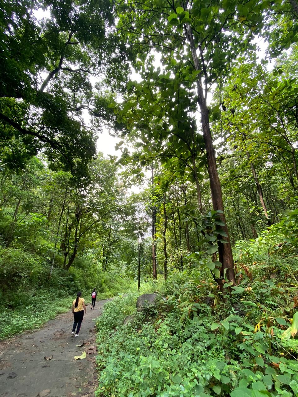 Photo of Hike to Wireless Pahar, Guwahati by Hrishikesh Baruah