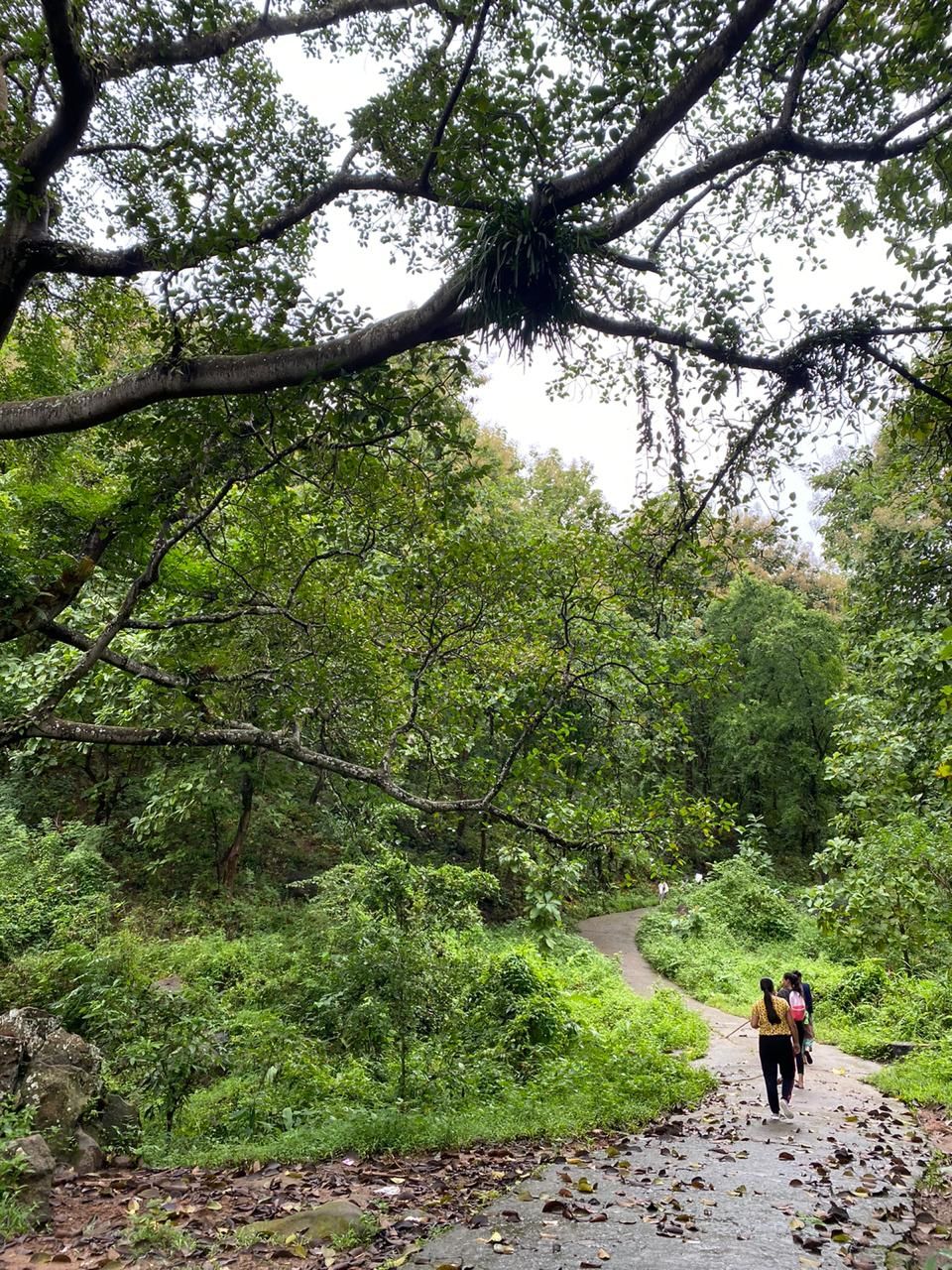 Photo of Hike to Wireless Pahar, Guwahati by Hrishikesh Baruah