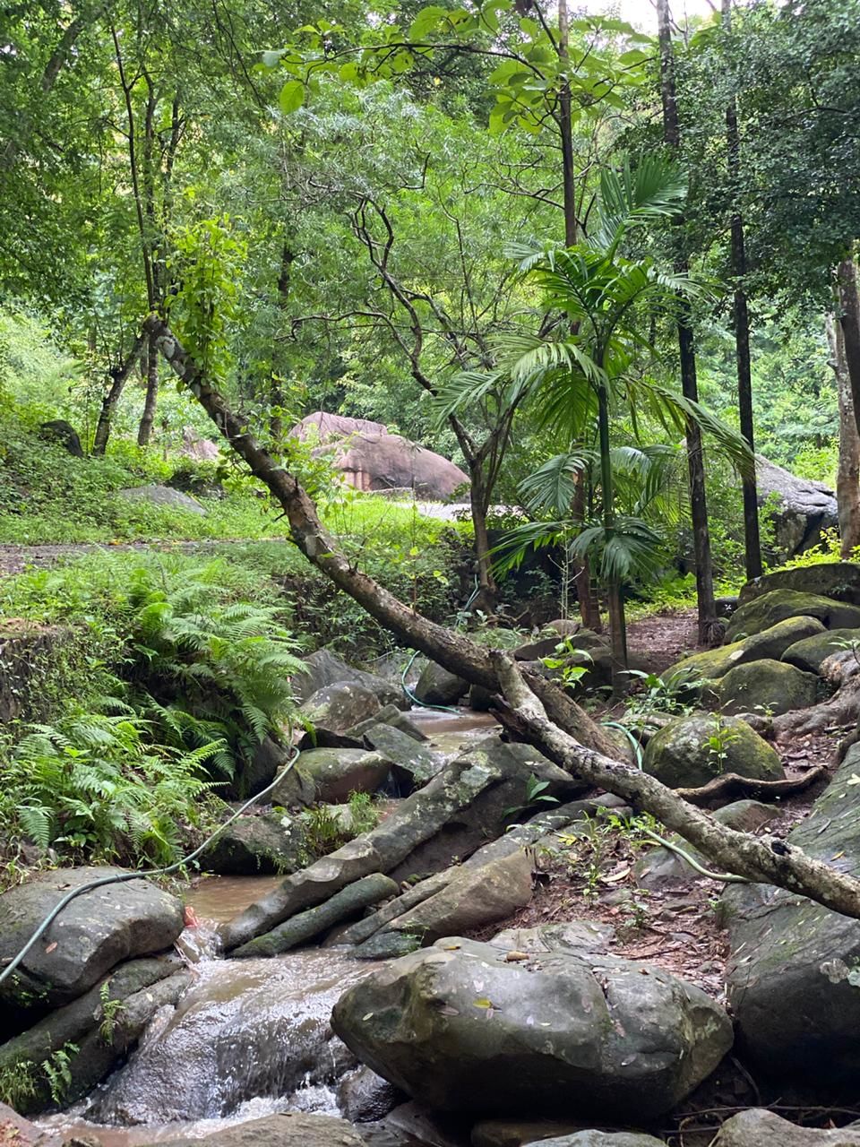Photo of Hike to Wireless Pahar, Guwahati by Hrishikesh Baruah