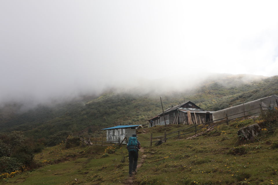 Photo of Trekking in the Annapurna Region (Part 2): Khopra Danda (Ridge) 25/70 by Hrishikesh Baruah