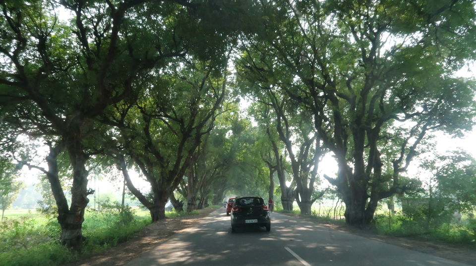 Photo of Bengaluru, Karnataka, India by Hrishikesh Baruah