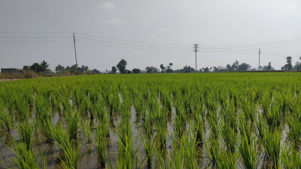 Photo of Krishnagiri Trunk Road, Ranipet, Tamil Nadu, India by Hrishikesh Baruah