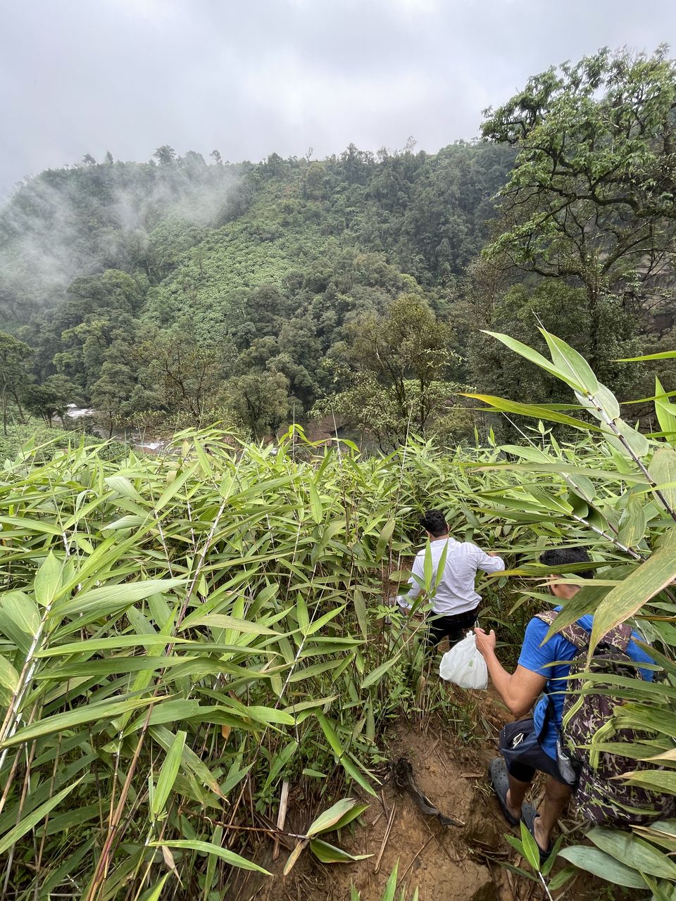 Photo of Head in the Clouds: My Trek to an Elusive Waterfall by Hrishikesh Baruah
