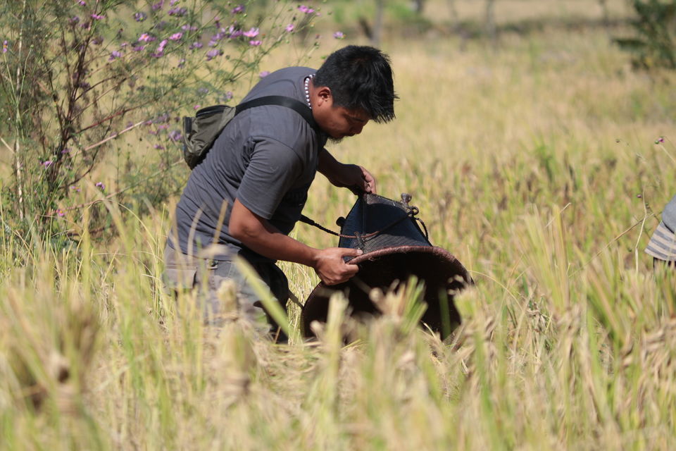 Photo of Zakhama, Nagaland, India by Hrishikesh Baruah