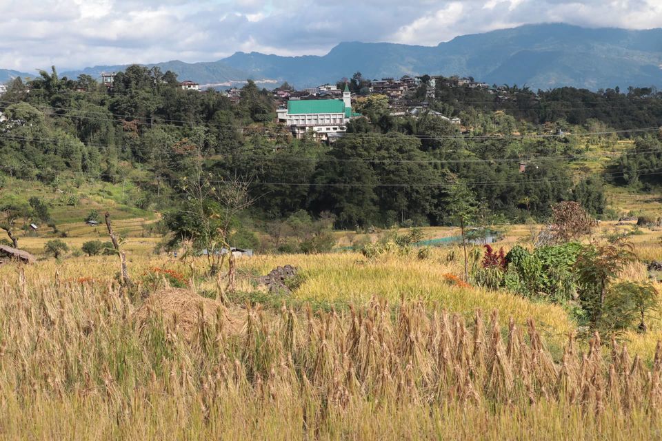 Photo of Pretty Little Eden: A Day in Zakhama Village by Hrishikesh Baruah