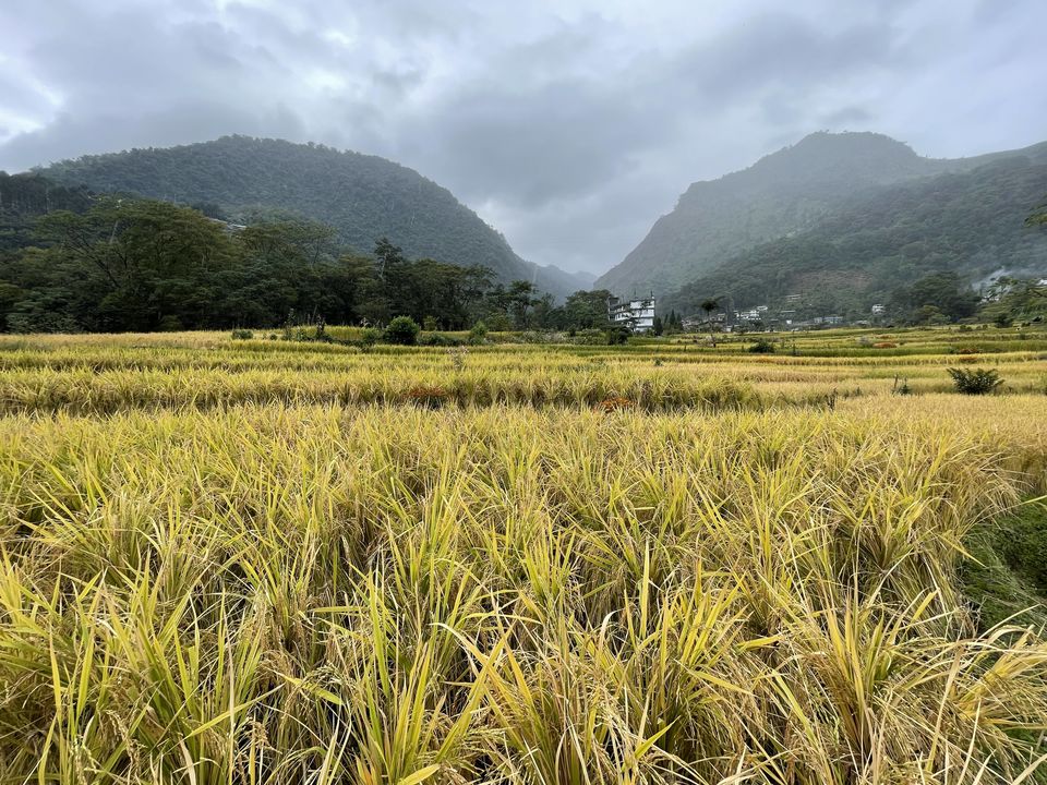 Photo of Pretty Little Eden: A Day in Zakhama Village by Hrishikesh Baruah