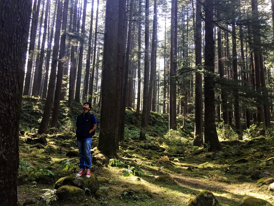 Photo of Manali, Himachal Pradesh, India by Pavan Sai Ch
