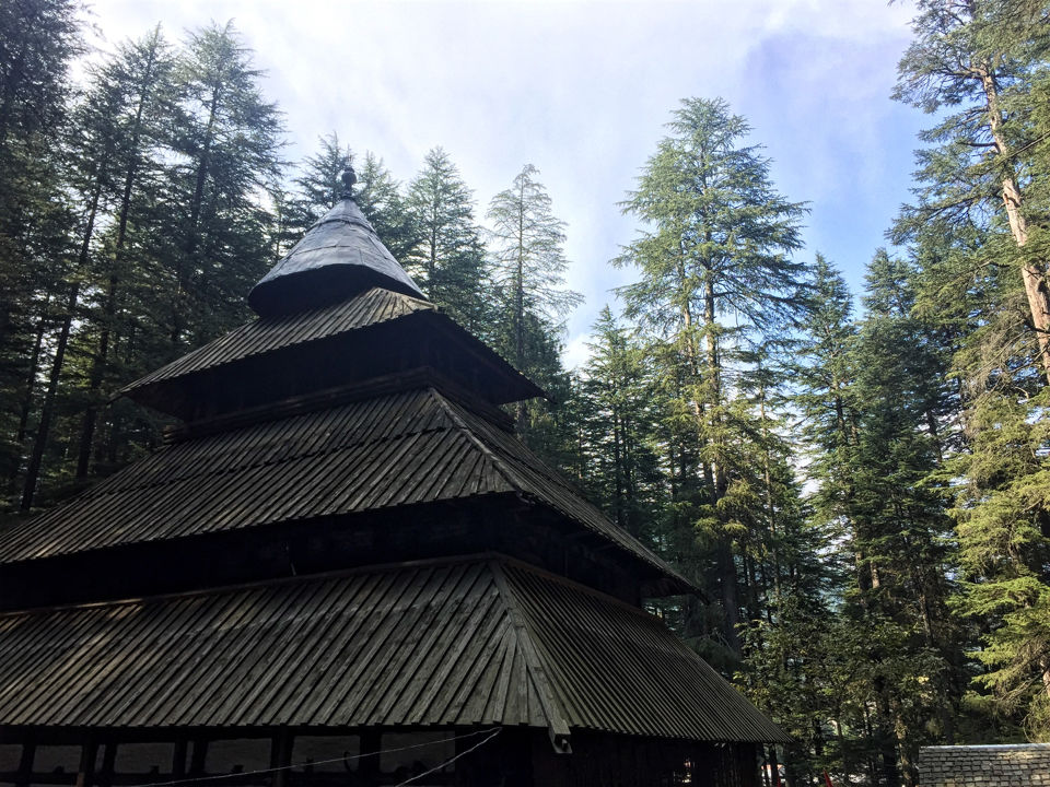 Photo of Hadimba Temple Road, Siyal, Manali, Himachal Pradesh, India by Pavan Sai Ch