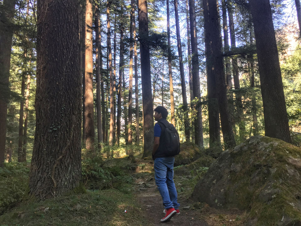 Photo of Manali, Himachal Pradesh, India by Pavan Sai Ch