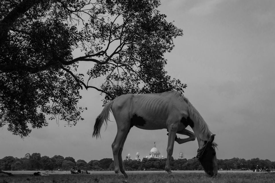 Photo of Postcards from Calcutta 13/26 by Cheryl Mukherji