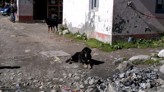 Photo of The Mystic Spiti... Sep, 2013 53/260 by Mandeep Singh