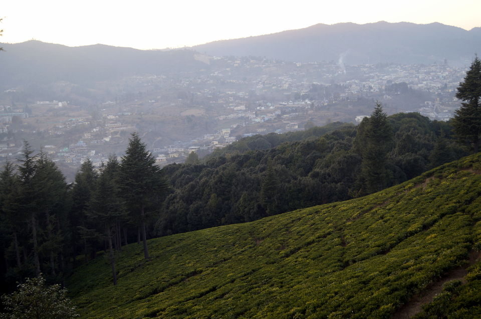Photo of Champawat, Uttarakhand, India by Kshitiz Goliya