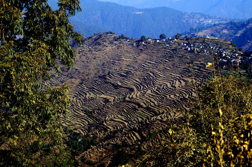 Photo of Wandering through Kumaon by Kshitiz Goliya