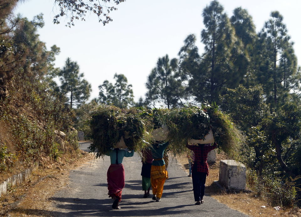 Photo of Wandering through Kumaon by Kshitiz Goliya