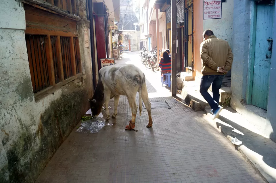 Photo of Bageshwar, Uttarakhand, India by Kshitiz Goliya