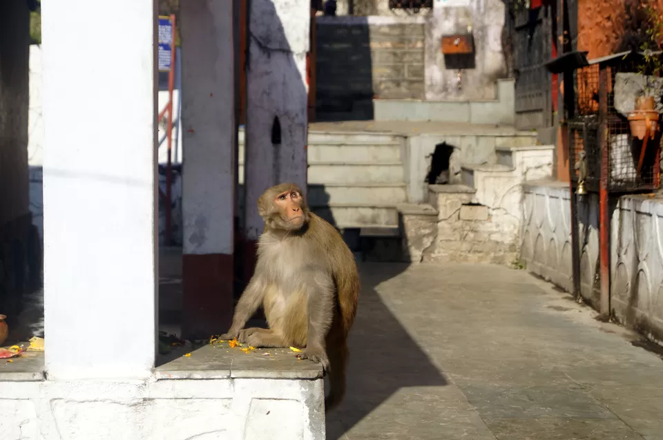 Photo of Bageshwar, Uttarakhand, India by Kshitiz Goliya