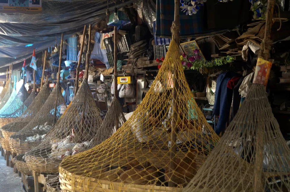 Photo of New Market Area, Kolkata, West Bengal, India by Kshitiz Goliya
