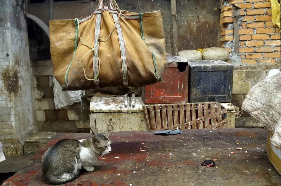 Photo of New Market Area, Kolkata, West Bengal, India by Kshitiz Goliya