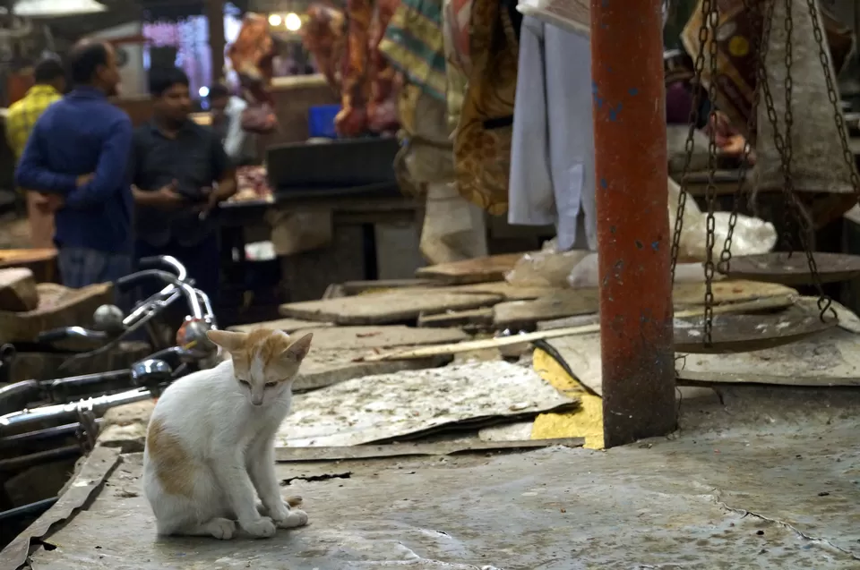 Photo of New Market Area, Kolkata, West Bengal, India by Kshitiz Goliya