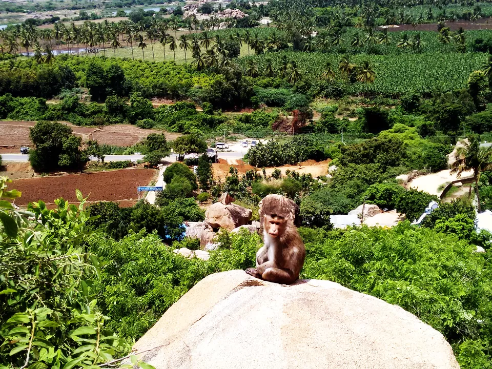 Photo of The Hampi Island, Sanapur, Karnataka, India by Ishika Sharma