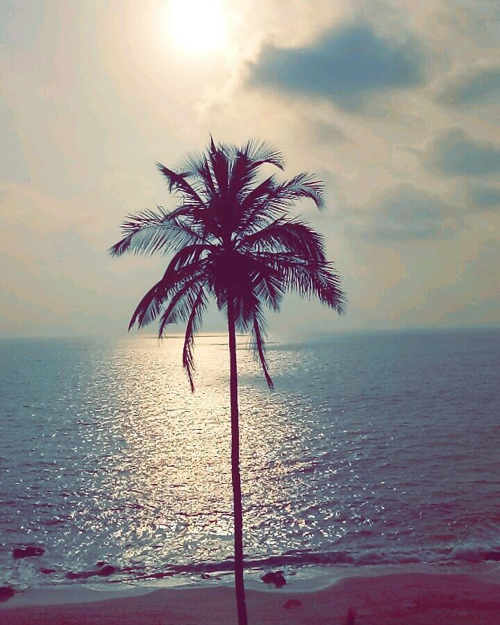 Photo of Life by the Beachside - Palolem Beach,Goa by Ishika Sharma