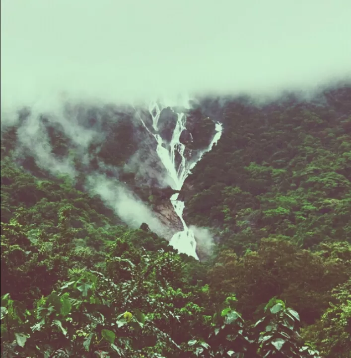 Photo of Dudhsagar Falls Railway Bridge, DoodhSagar Waterfalls Trail, Sonaulim, Goa, India by UTKARSH GUPTA