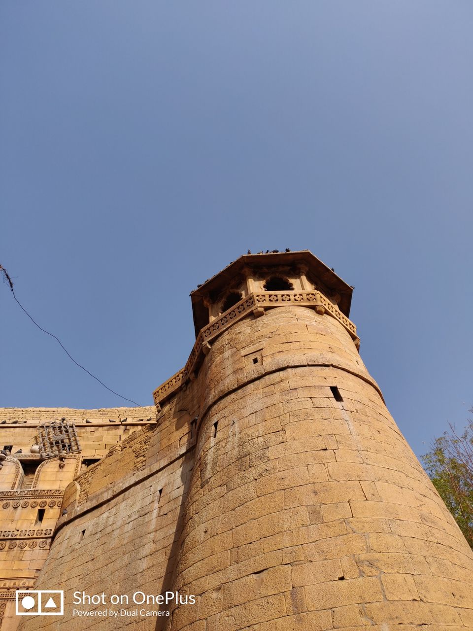 Photo of Mesmerizing Rajasthan by Mitali Ghodke