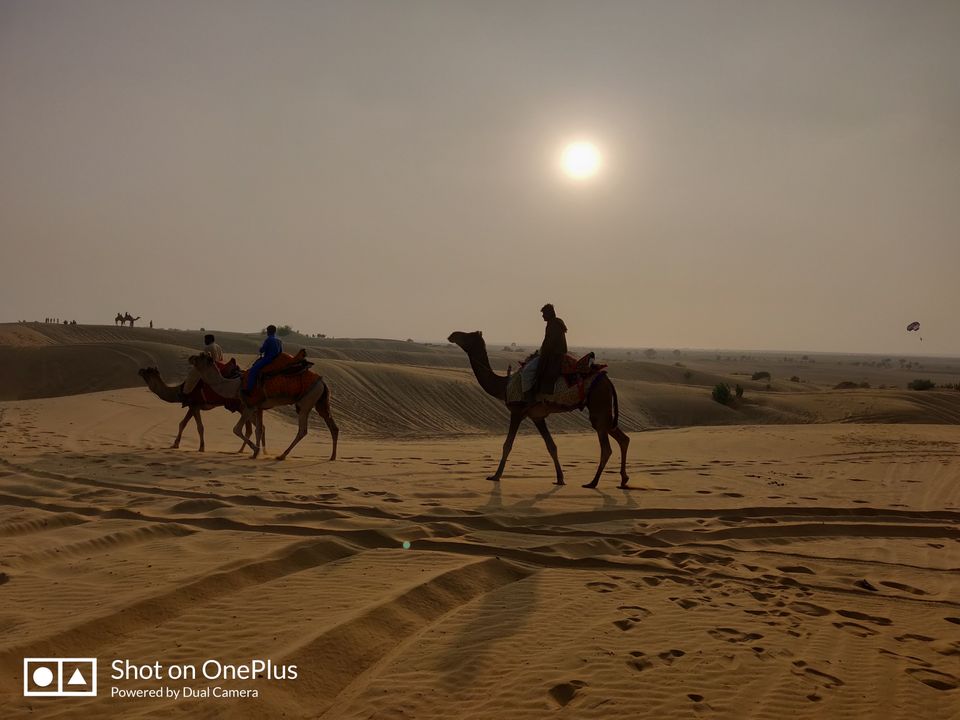 Photo of Mesmerizing Rajasthan by Mitali Ghodke