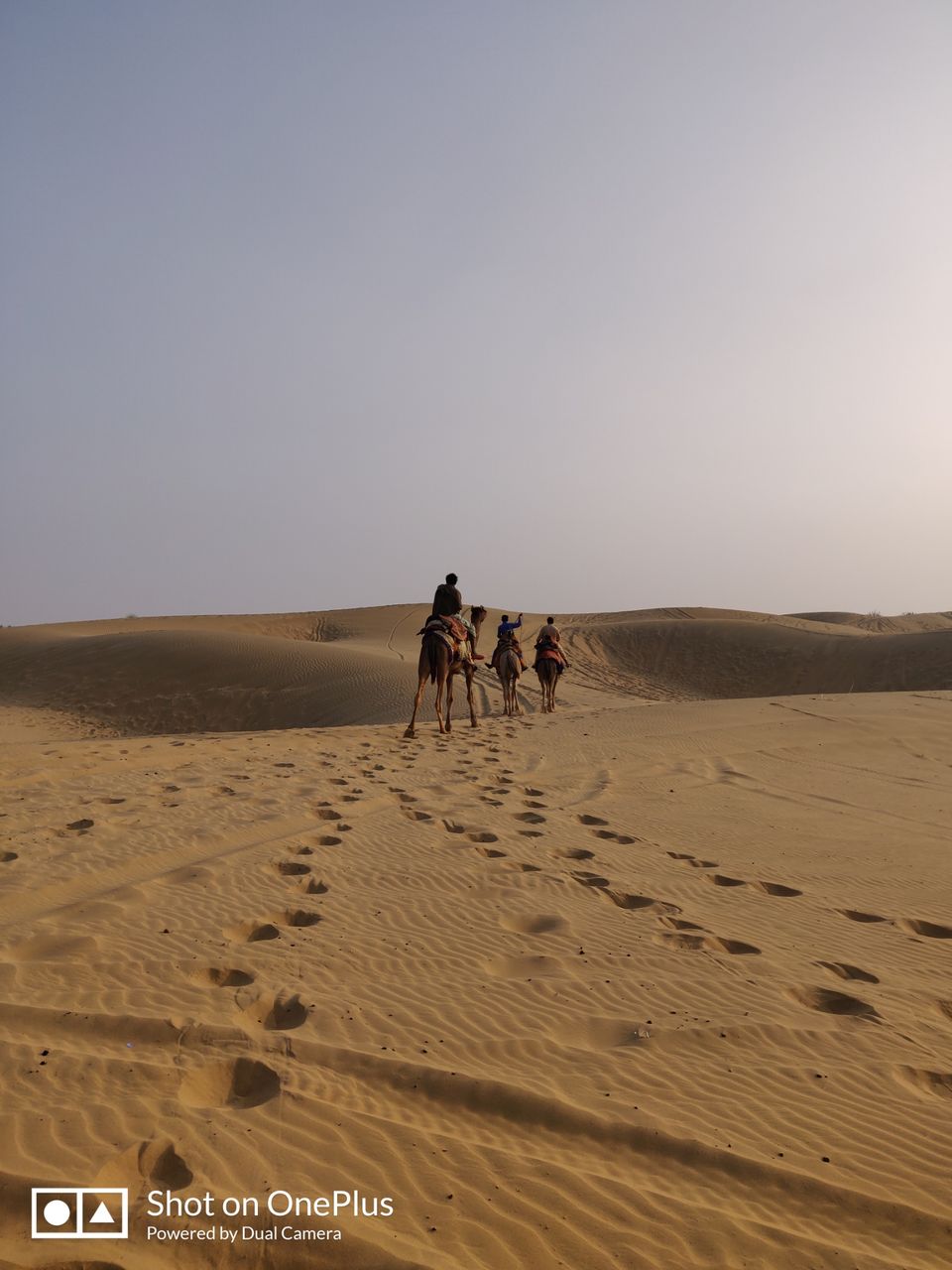 Photo of Mesmerizing Rajasthan by Mitali Ghodke