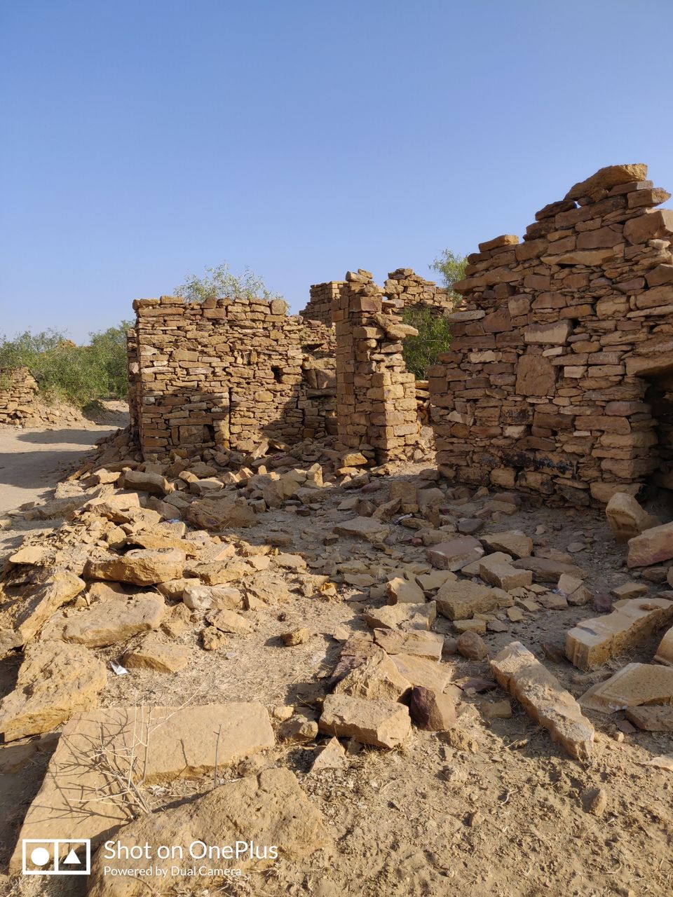 Photo of Mesmerizing Rajasthan by Mitali Ghodke