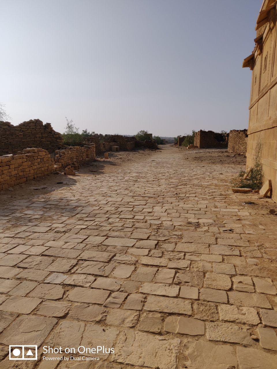 Photo of Mesmerizing Rajasthan by Mitali Ghodke