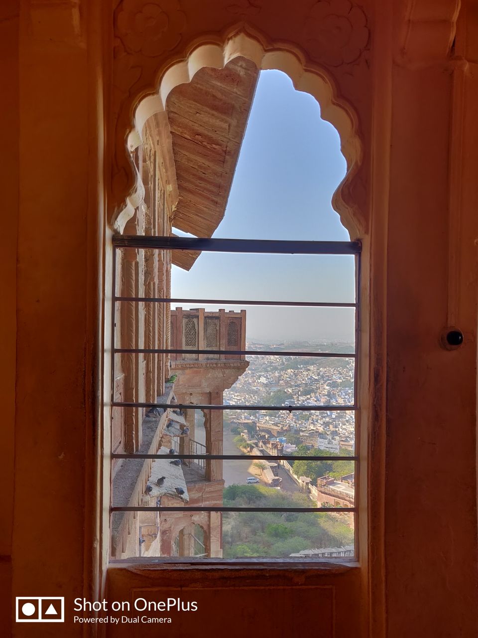 Photo of Mesmerizing Rajasthan by Mitali Ghodke