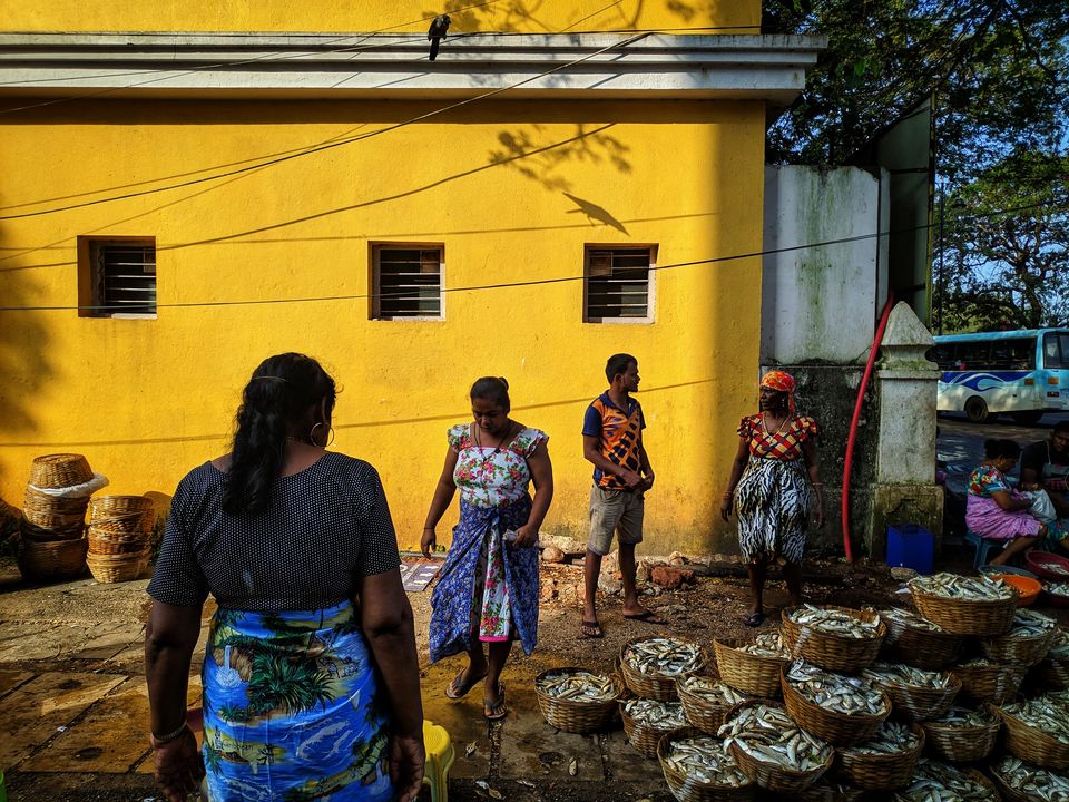 Photo of Picturesque Panjim 8/9 by Nirbhay Pearala