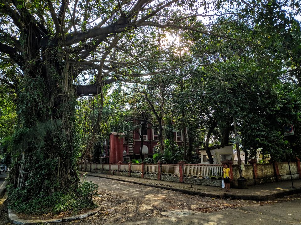 Photo of Picturesque Panjim 7/9 by Nirbhay Pearala