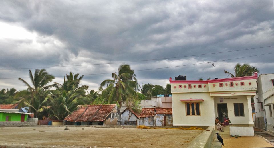 Photo of “Trust Me, Don’t Trust Anyone Else”- Said Everyone I Met In Tamil Nadu 5/11 by Neetole Mitra