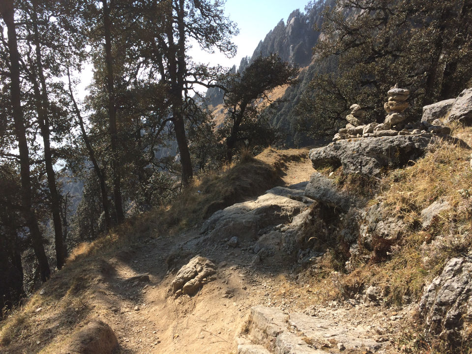 Photo of Triund, Trail to SnowLine Cafe, Dharamshala, Himachal Pradesh, India by Apurve Gupta