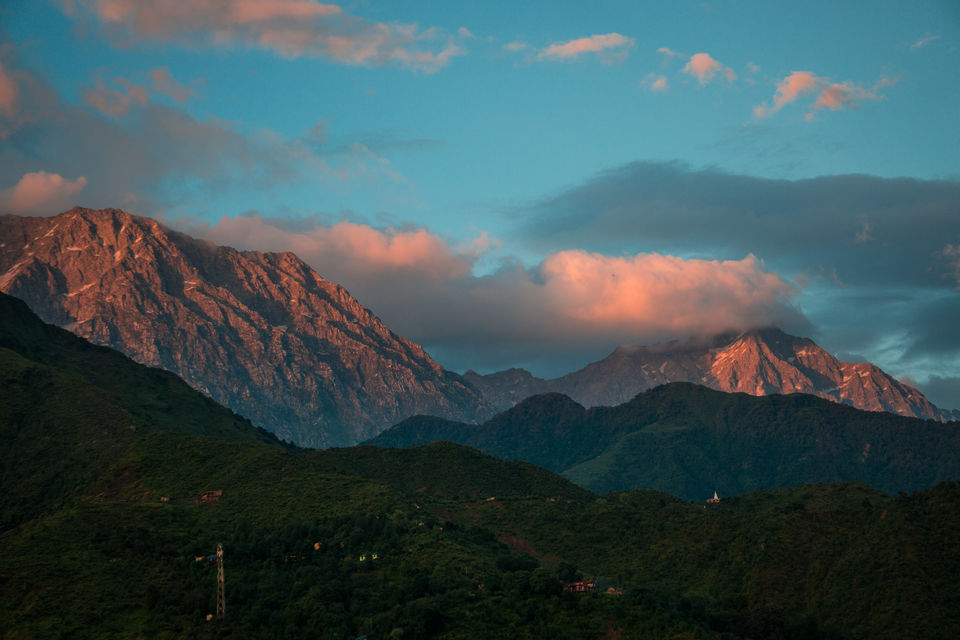Photo of I Restarted My Life with 8000 Rs in The Mountains & Luckily It Improved My Mental Health by Payal | uzumaki