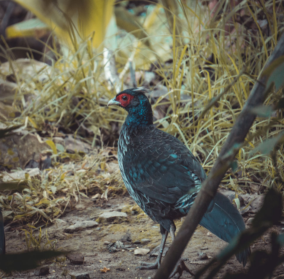 Photo of This Homestay in Uttarakhand is as Close to an Authentic Himalayan Experience as it Gets 2/8 by Payal | uzumaki