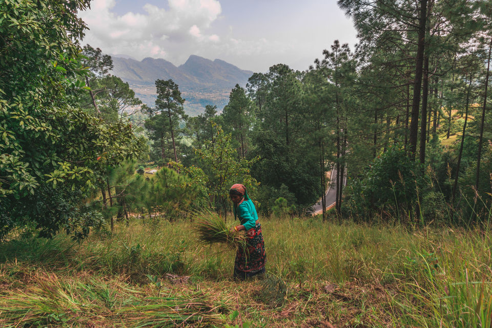Photo of This Homestay in Uttarakhand is as Close to an Authentic Himalayan Experience as it Gets 8/8 by Payal | uzumaki